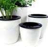 3 Pack Self Watering Planter African Violet Pots Plastic White