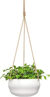 8 Inch Ceramic Hanging Planter for Indoor Plants Modern Outdoor Porcelain