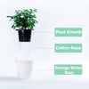 3 Pack Self Watering Planter African Violet Pots Plastic White