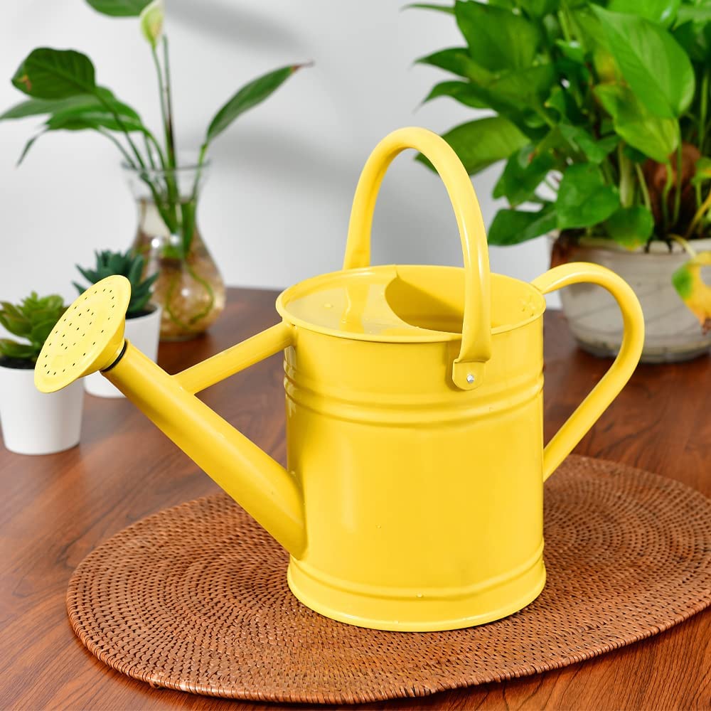 1 Gallon Metal Watering Can, Yellow