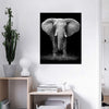 Elephant Canvas Prints Wall Art Animal World