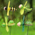 4 pcs windmill decoration (Green insect)