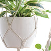 2 Macrame Plant Hangers Indoor Hanging Planter Basket Decorative (Ivory)