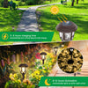 Solar Lights Outdoor Decorative,10 Packs, warm white