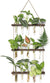 Retro hanging glass propagator for hydroponic plants and garden decoration (15 test tubes)