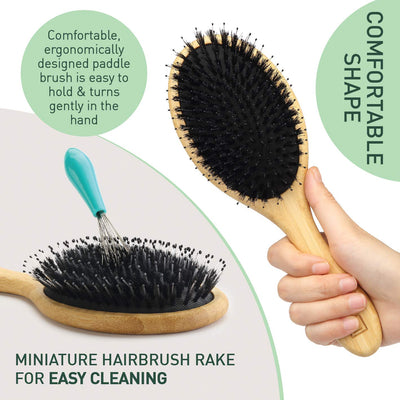 Natural bristle hair brush (oval) 1 Count (Pack of 1)