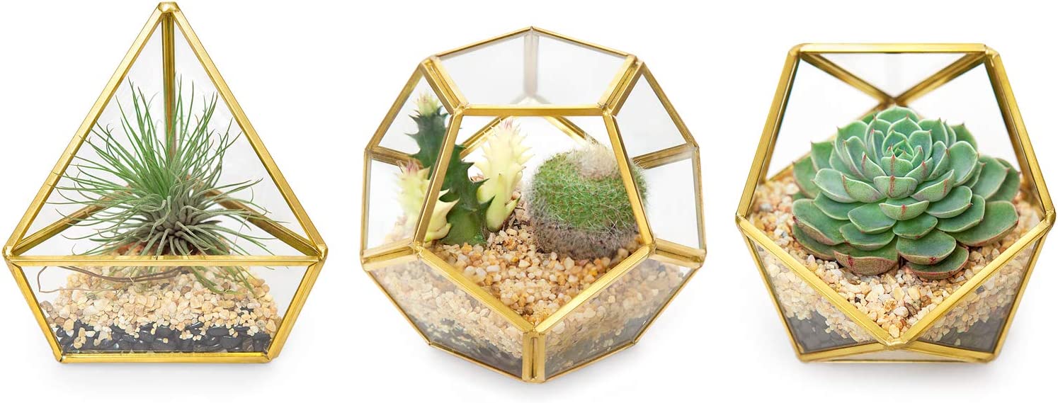 4 Inches Mini Glass Geometric Terrarium Container Set of 3 Modern Tabletop Planter