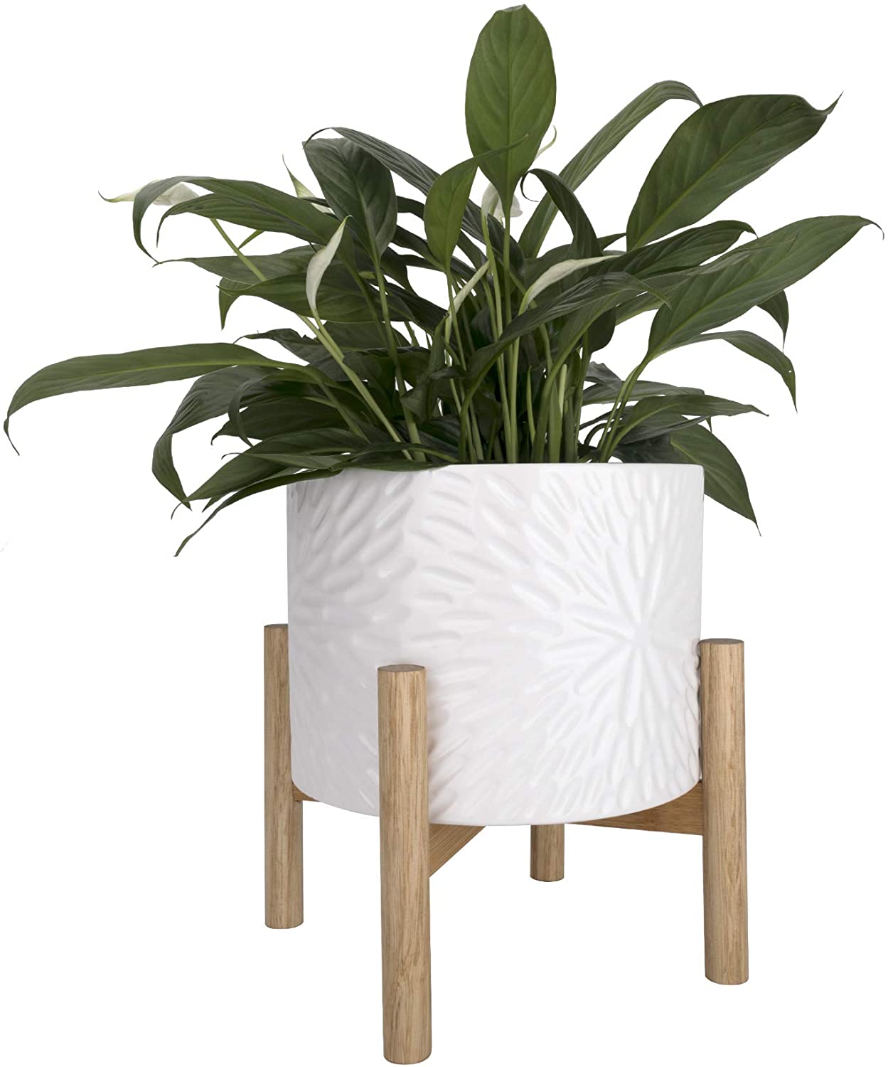 Ceramic Plant Pot with Wood Stand