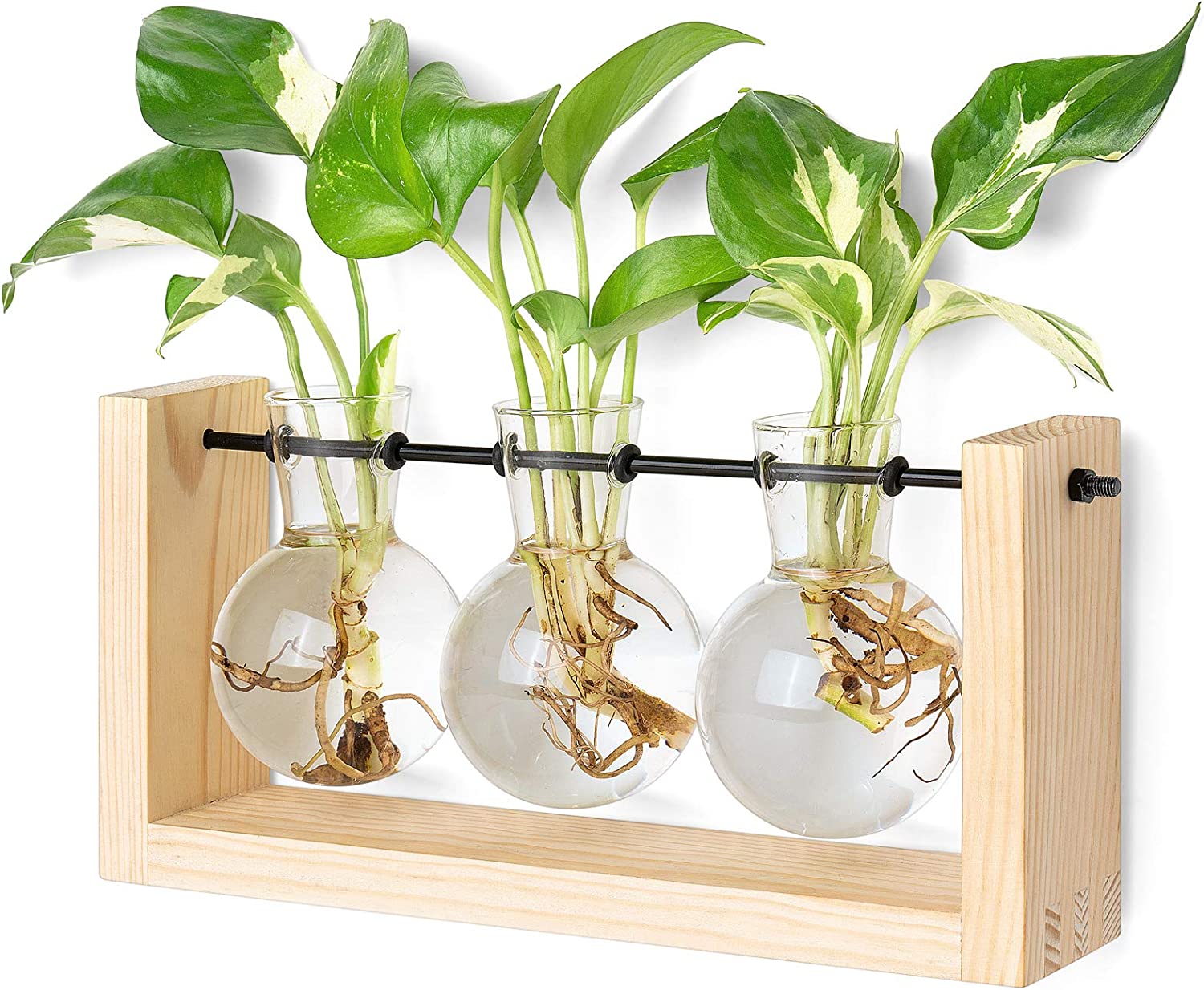 Plant Terrarium with Wooden Stand, 3 Bottle, Beige, medium