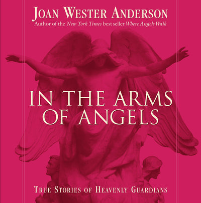 In the Arms of Angels (Paperback)