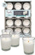 White Votive Candles in Clear Glass Cup, (Pack x 36