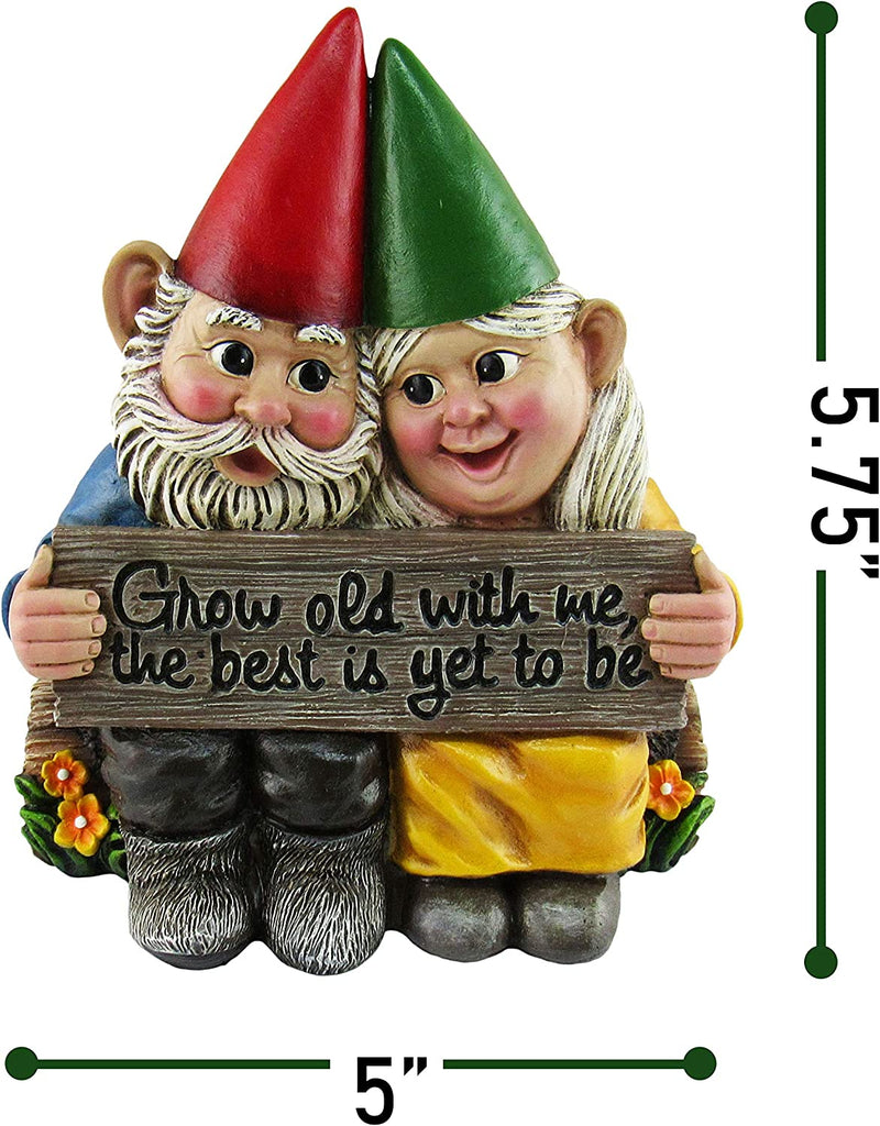 garden gnome couple in love collectible figurine