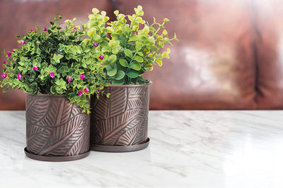 Garden Pots with Drainage Hole, 2 Piece Floral Embossed