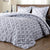 Comforter Set (Queen) with 2 Pillow Shams