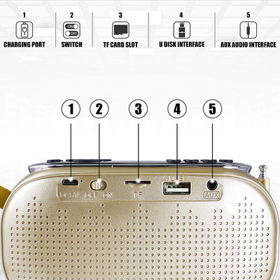 Wireless Radio Bluetooth Speaker, USB Charging, (Gold Color)