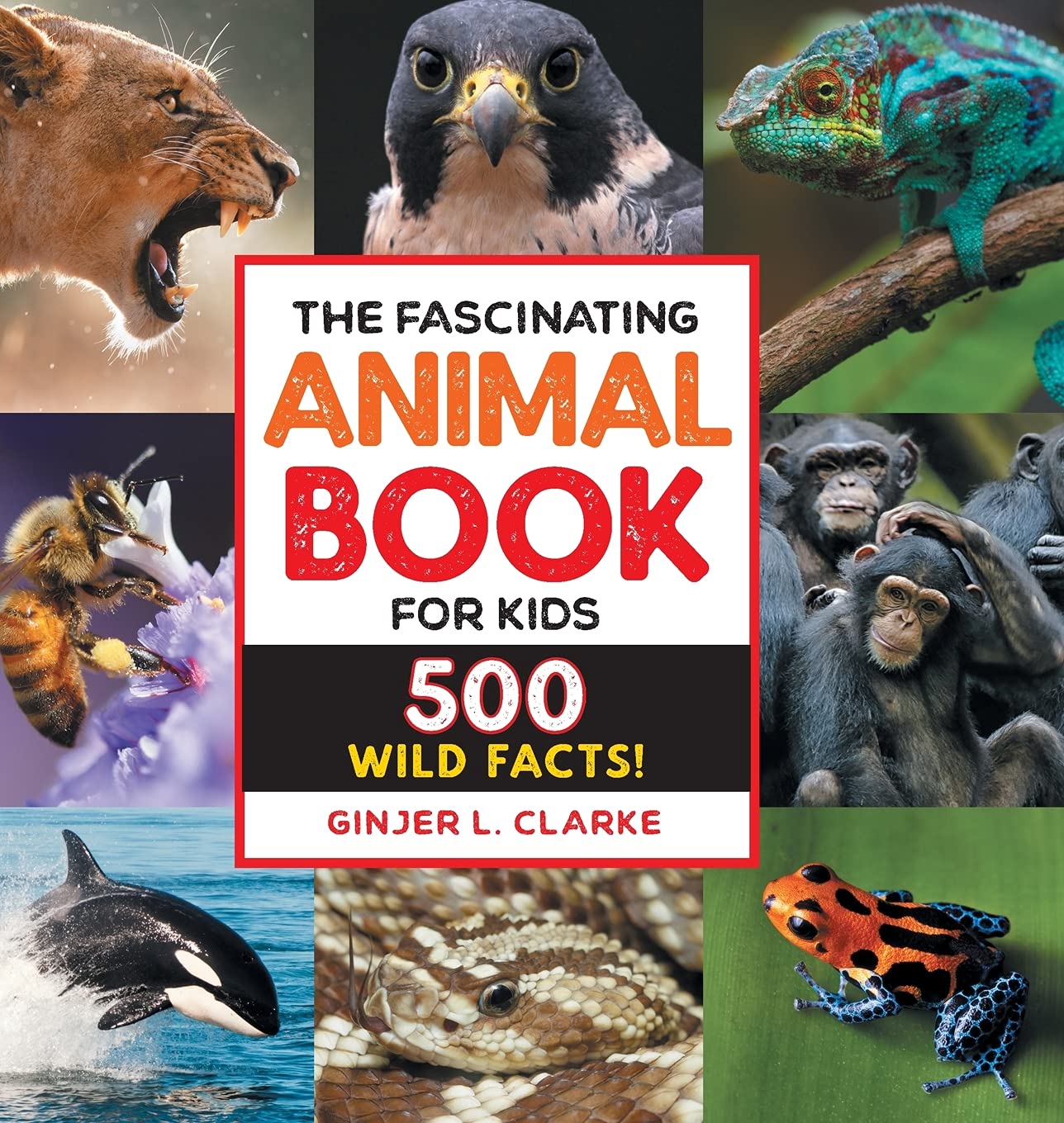 The Fascinating Animal Book for Kids - Hardcover