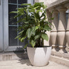 14.2 Inch Tree Planter Flower Pot, Planters Container with Drain Holes