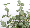 Stems of artificial vegetation, eucalyptus leaf, 6 Pieces