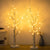 Set of 2 birch trees illuminated by 28 warm white battery operated LEDs