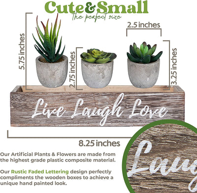 3 Small Fake Succulents Plants Artificial Centerpiece Box Faux Indoor Work