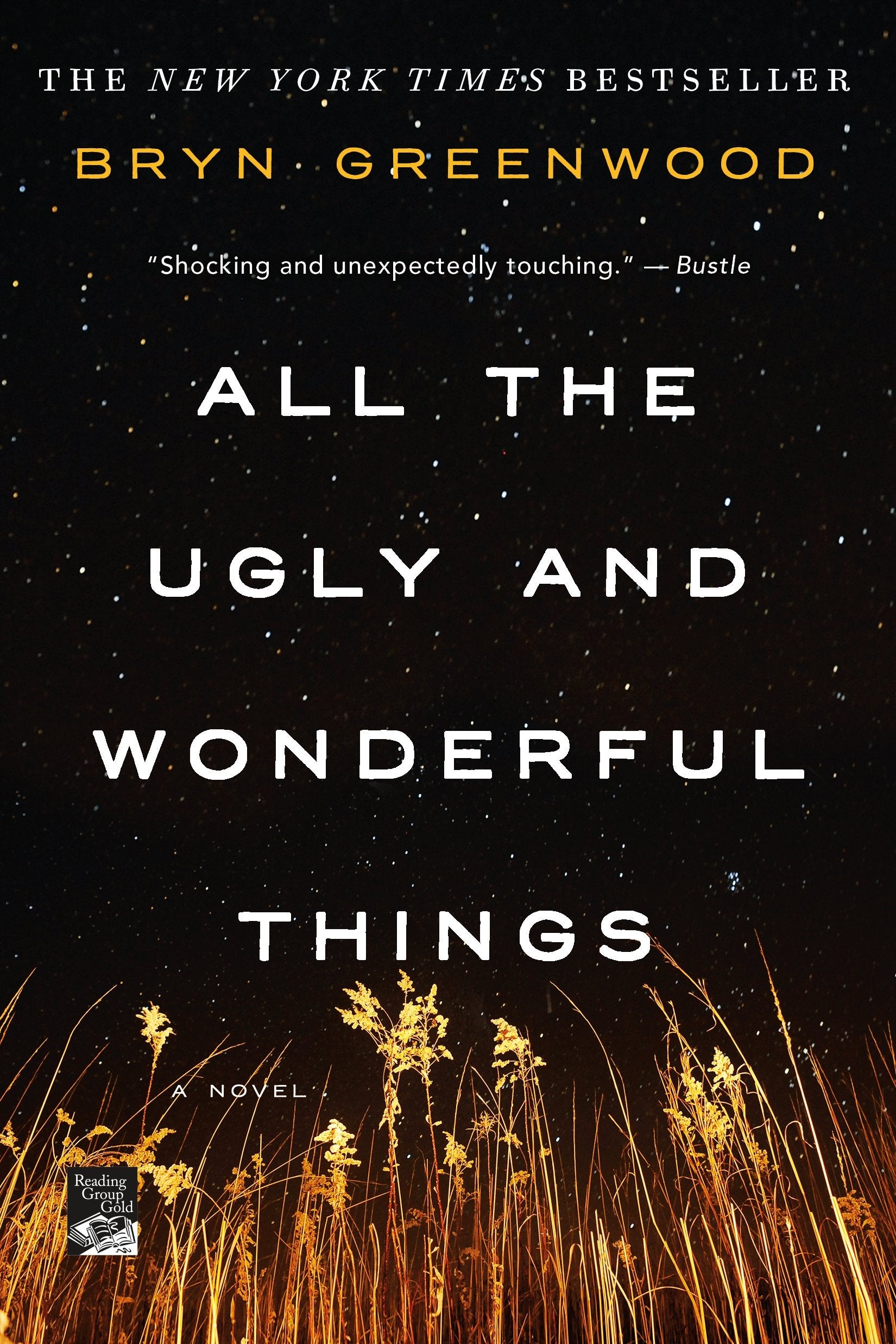 All the Ugly and Wonderful Things: A Novel Paperback