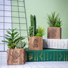 Set of 3 Artificial Succulents with Led Lights in Wooden Box