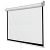 Removable projector screen