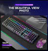 LED Backlit Wired Gaming Desktop Keyboard,(Color: Black)